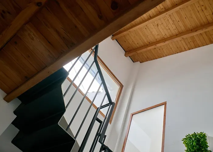 Loft Elegante En Plaza Del Carmen F3