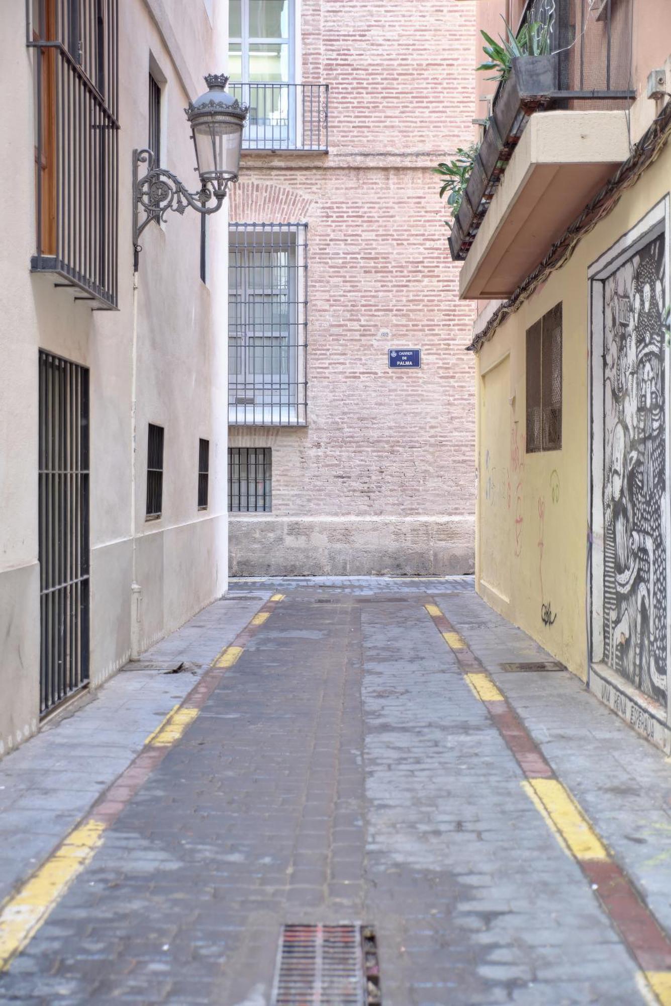 Apartament Loft Elegante En Plaza Del Carmen F3
